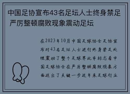 中国足协宣布43名足坛人士终身禁足 严厉整顿腐败现象震动足坛